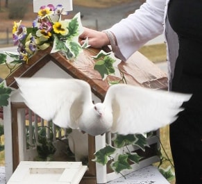 Skydancers Dove Release